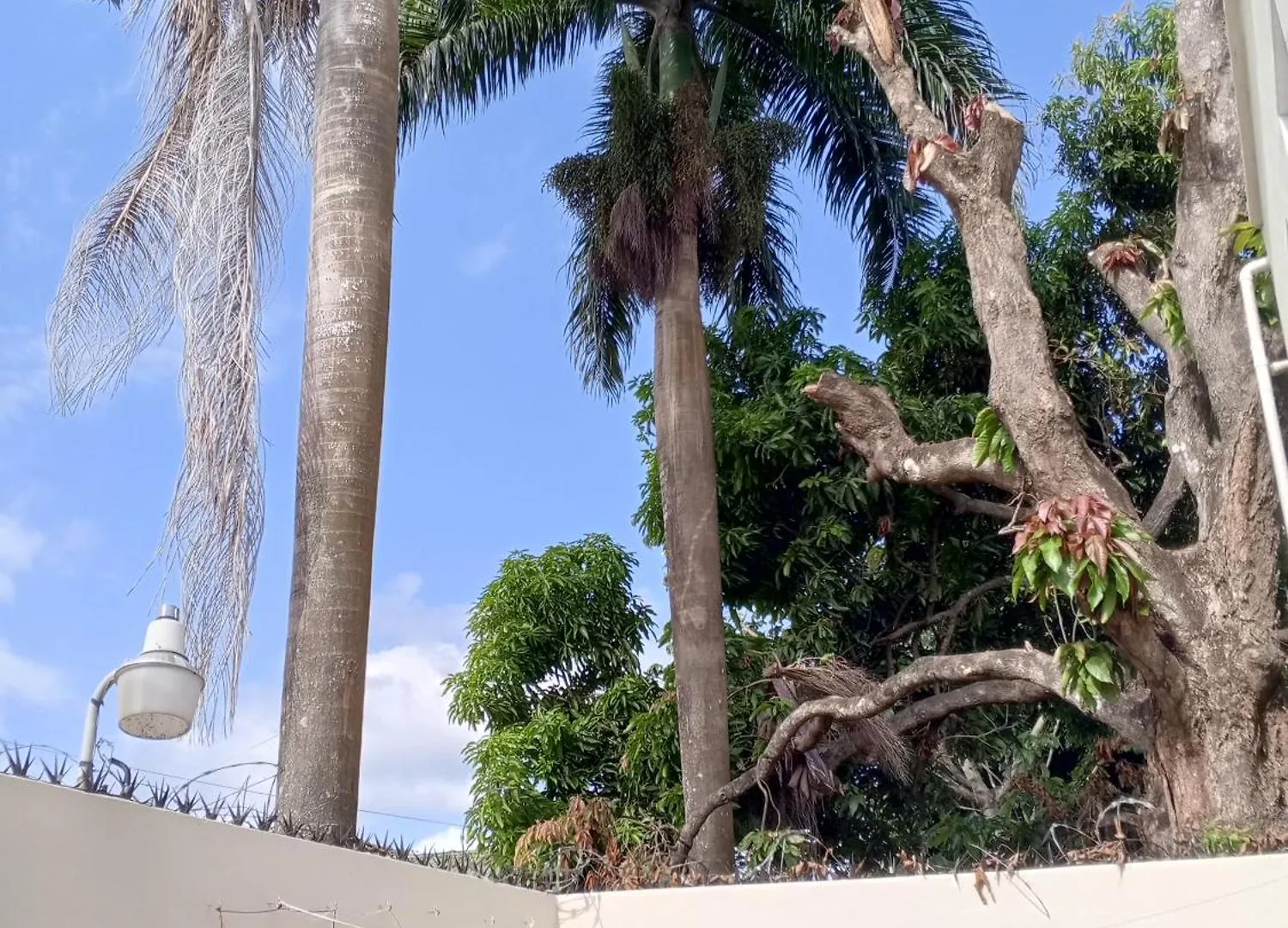Maome 1 Apartment Las Terrenas Homestay